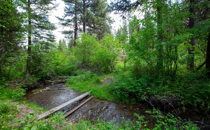Pictures of Land property located at 110 and 160 Waylon Way, Bonner, MT 59823 for sales - image #1