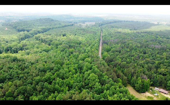 Pictures of Land property located at 000 County Road 97, Detroit, AL 35552 for sales - image #1