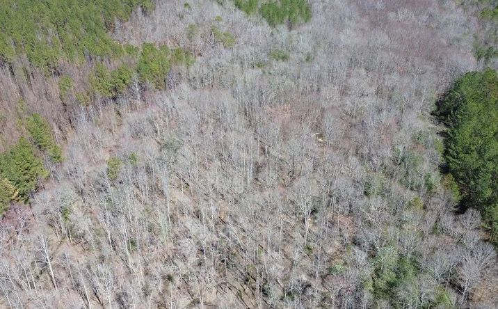Pictures of Land property located at 000 Hayes Road, Detroit, AL 35552 for sales - image #1