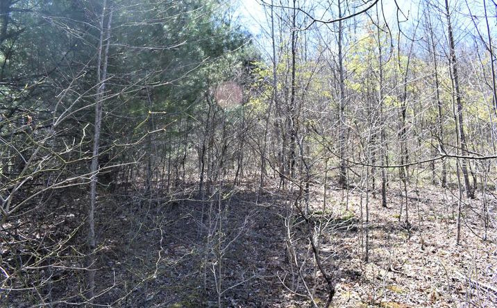 Pictures of Land, Multifamily property located at 000 Sidney St., Beckley, WV 25801 for sales - image #1