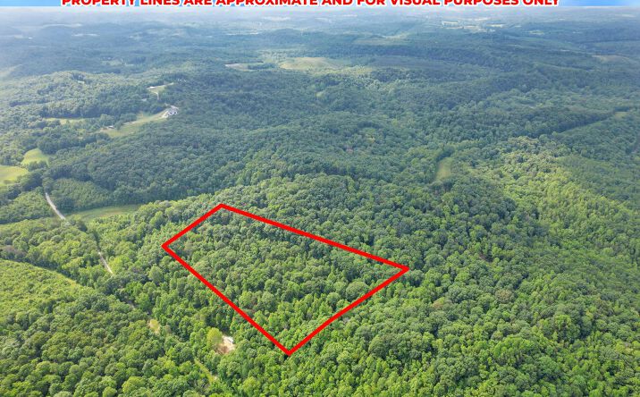 Pictures of Land property located at 0 Cox, Vinton, OH 45686 for sales - image #1