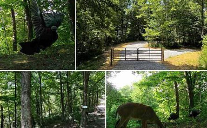 Pictures of Land property located at 32964 Parkinson Road #(Tract 6 at Titus), Langsville, OH 45741 for sales - image #1