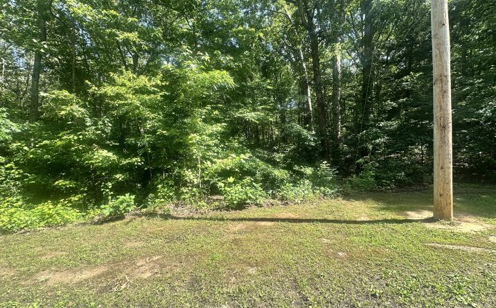 Pictures of Land property located at 454 Logger Lane, Cedar Grove, TN 38321 for sales - image #1