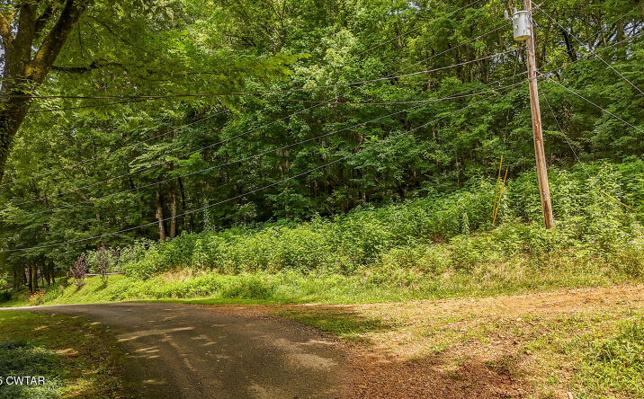 Pictures of Land property located at Lot 35 Salt Lane, Savannah, TN 38372 for sales - image #1
