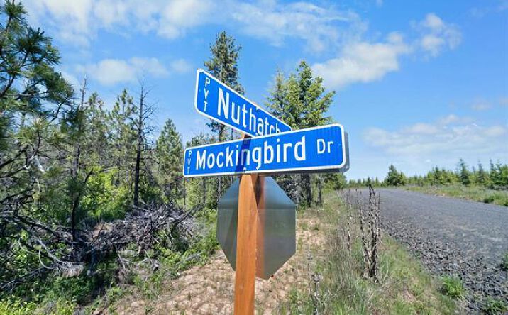 Pictures of Land property located at NNA Timberline Heights Parcel 5, Weippe, ID 83553 for sales - image #1