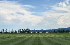 24646396
