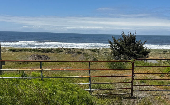 Pictures of Multifamily, Hospitality, Land property located at 29095 Ellensburg Ave, Gold Beach, OR 97444 for sales - image #1