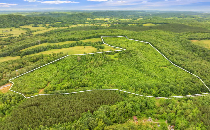 Pictures of Land property located at Grigsby Hollow Rd, Kingston, TN 37763 for sales - image #1