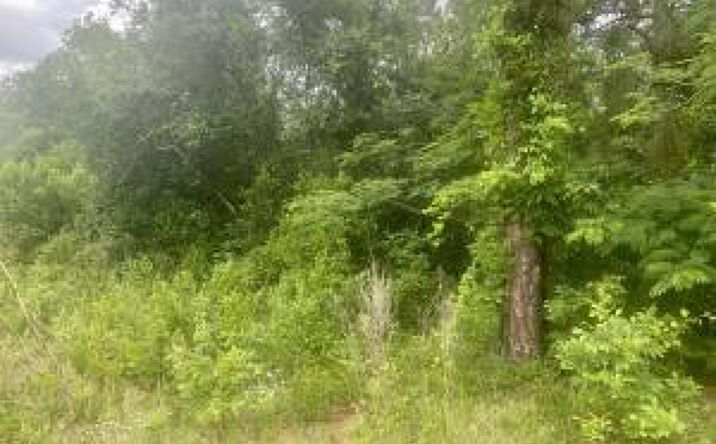 Pictures of Land property located at 0 South Boundary Avenue, New Ellenton, SC 29809 for sales - image #1
