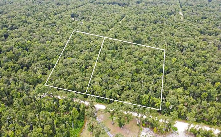 Pictures of Land property located at NE 325th Ave, Old Town, FL 32680 for sales - image #1