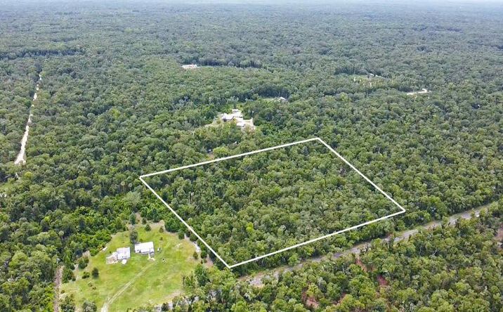 Pictures of Land property located at NE 594th St, Old Town, FL 32680 for sales - image #1