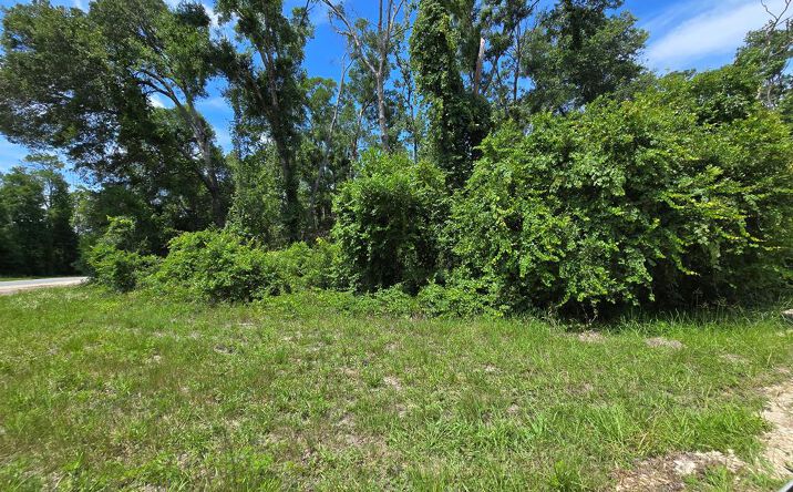 Pictures of Land property located at NE 151st Ave, Old Town, FL 32628 for sales - image #1