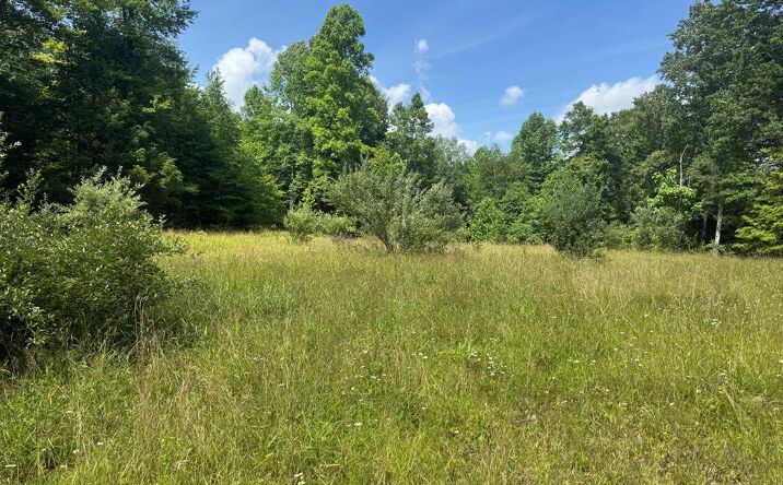 Pictures of Land property located at Elliott  Rd, Hico, WV 25854 for sales - image #1