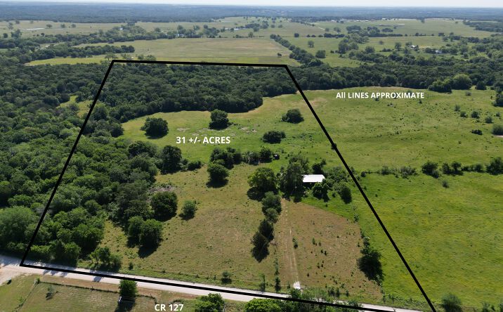 Pictures of Land property located at County Rd 127, Whitesboro, TX 76273 for sales - image #1