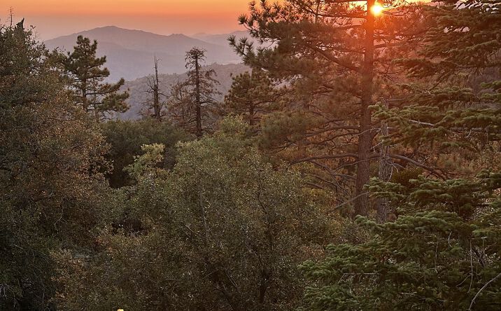 Pictures of Land property located at 15331006 Mountain Meadow Road, Caliente, CA 93518 for sales - image #1