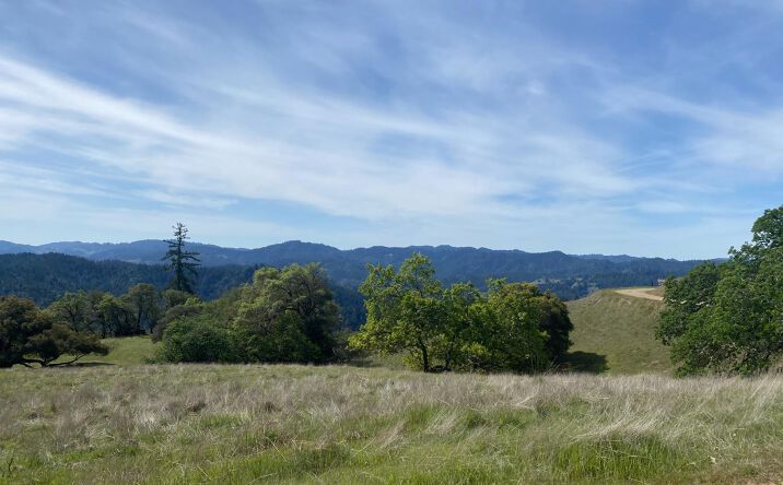 Pictures of Land property located at 19010 Hulbert Rd, Yorkville, CA 95494 for sales - image #1