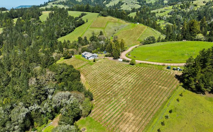 Pictures of Multifamily, Land property located at 1550 Guntly Rd, Philo, CA 95466 for sales - image #1