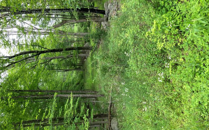 Pictures of Land property located at 287 Church Road, Shawangunk, NY 12566 for sales - image #1
