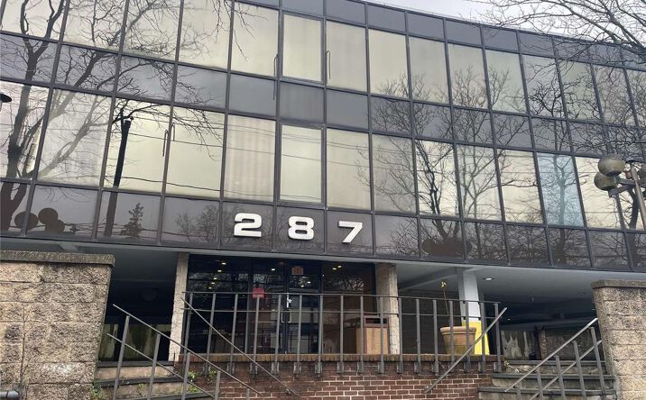 Pictures of Office, Mixed Use property located at 287 Northern Boulevard, North Hempstead, NY 11021 for sales - image #1