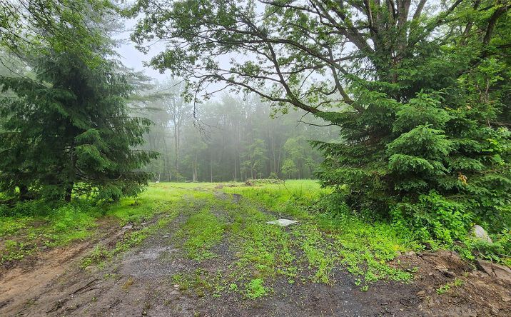 Pictures of Land property located at 127 Benneywater Road, Greenville, NY 12771 for sales - image #1