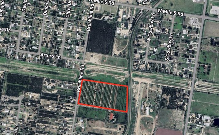 Pictures of Land property located at 0 N Brushline Road, Mission, TX 78582 for sales - image #1