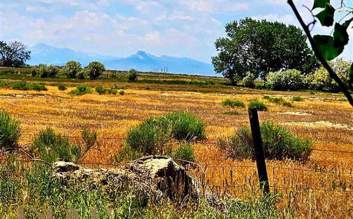Pictures of Land property located at TBD Lane 14, Powell, WY 82435 for sales - image #1