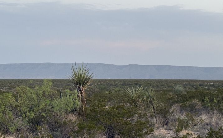 Pictures of Land property located at 0000 Valley View, Dryden, TX 78851 for sales - image #1