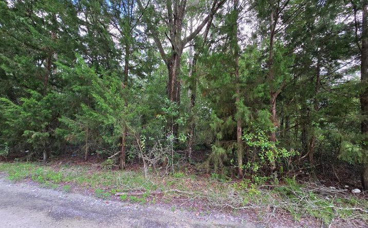 Pictures of Land property located at SE 84th Ln, Trenton, FL 32693 for sales - image #1