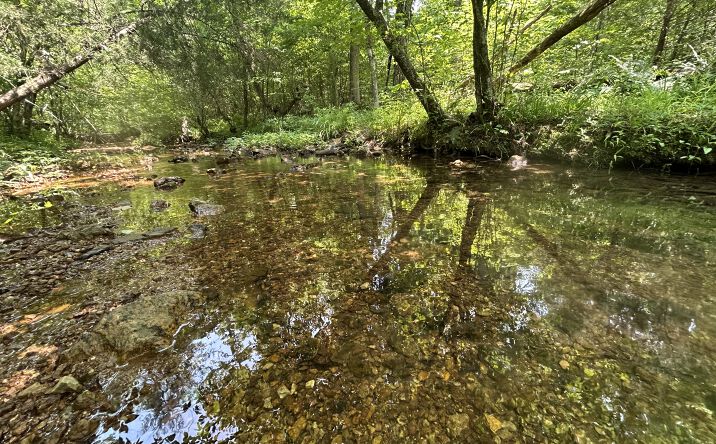 Pictures of Land property located at 60 Lawrence Rd 145, Smithville, AR 72466 for sales - image #1