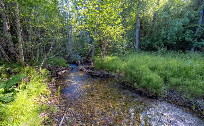 Pictures of Land property located at NHN Trumble Canyon Road, Columbia Falls, MT 59912 for sales - image #1