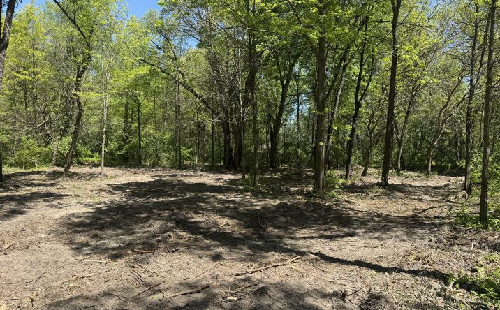 Pictures of Land property located at Vacant Land Us Highway 41, Lake Village, IN 46349 for sales - image #1