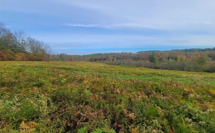 Pictures of Land, Special Purpose property located at Mongaup Road, Fallsburg, NY 12747 for sales - image #1