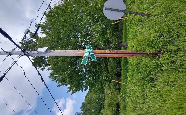 Pictures of Land property located at Old Loomis Road, Liberty, NY 12734 for sales - image #1