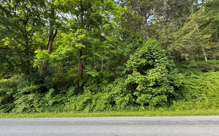 Pictures of Land property located at 591 Bog Hollow Road, Dover, NY 12592 for sales - image #1