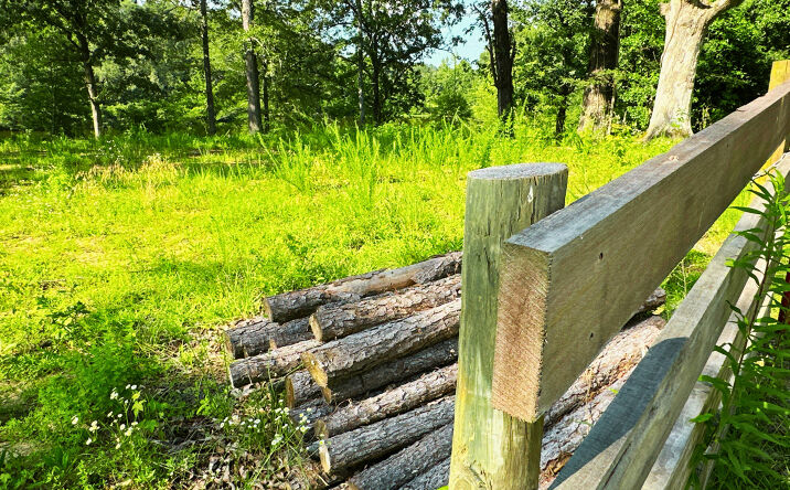 Pictures of Land, Mixed Use property located at 6335 Lake Hardeman Road, Saulsbury, TN 38067 for sales - image #1