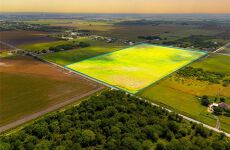24240406