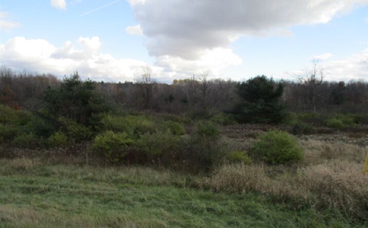 Pictures of Land property located at 26908 US Rte 11, Evans Mills, NY 13637 for sales - image #1