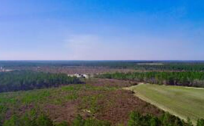 Pictures of Land property located at Xx Three Notch Road, Ridge Spring, SC 29129 for sales - image #1