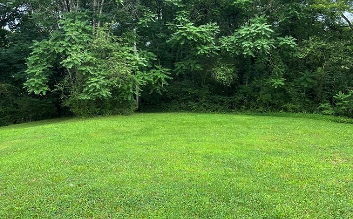 Pictures of Land property located at 116 Magnolia Ave, Camden, TN 38320 for sales - image #1