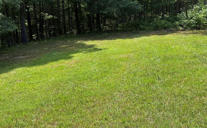 Pictures of Land, Multifamily property located at 43 Lot 43 River Oaks Drive, Austinville, VA 24312 for sales - image #1