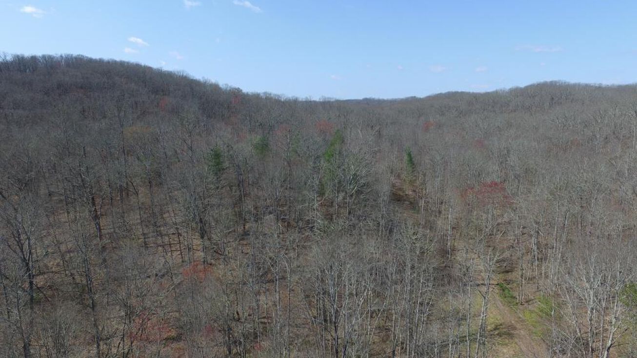 700 New Hope Road, Rockwood, TN 37854