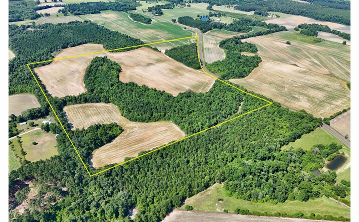 Pictures of Land property located at 0 Anitoch Church Rd, Ashford, AL 36312 for sales - image #1