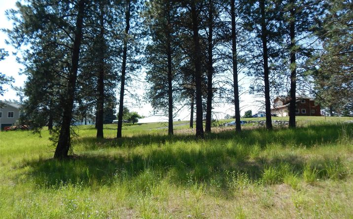 Pictures of Land property located at 234 Stage Ridge Road, Bigfork, MT 59911 for sales - image #1