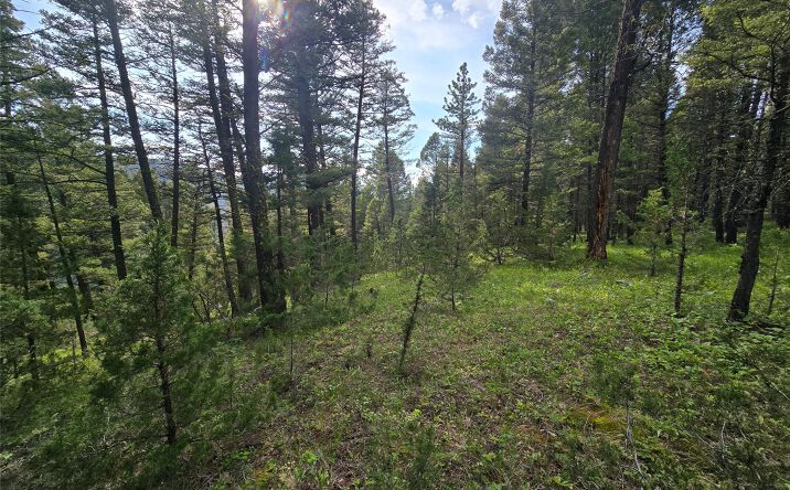 Pictures of Land property located at # Johnson Quarta Lode, Philipsburg, MT 59858 for sales - image #1