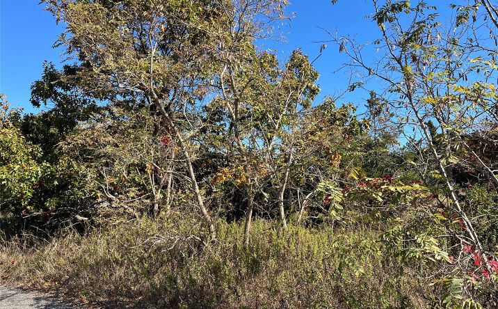 Pictures of Land property located at 119 Creek Road, Riverhead, NY 11792 for sales - image #1