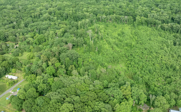 Pictures of Land property located at Church St, Valley Head, AL 35989 for sales - image #1