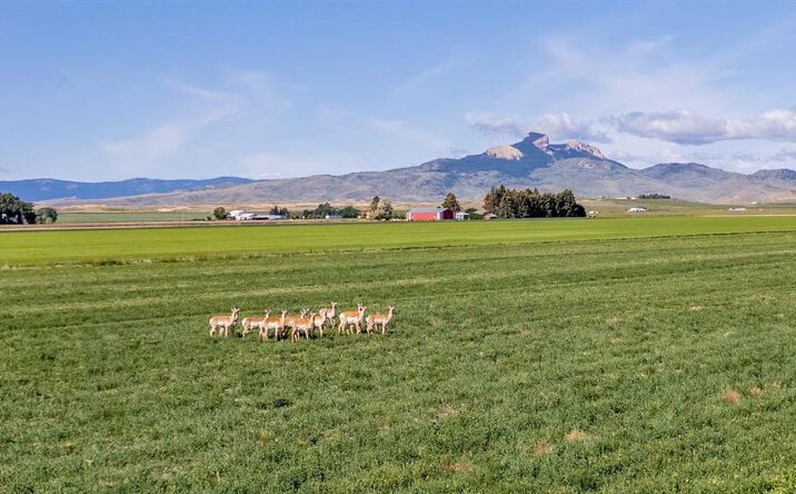 Pictures of Land property located at TBD Lane 10, Powell, WY 82435 for sales - image #1
