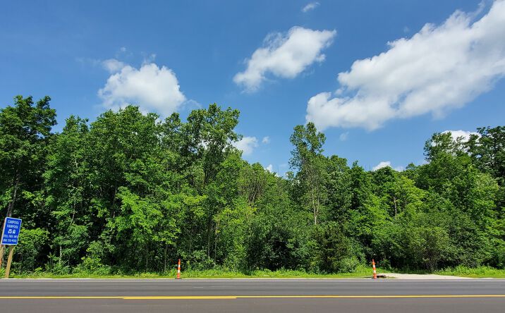 Pictures of Land property located at Michigan Avenue, Saline, MI 48176 for sales - image #1