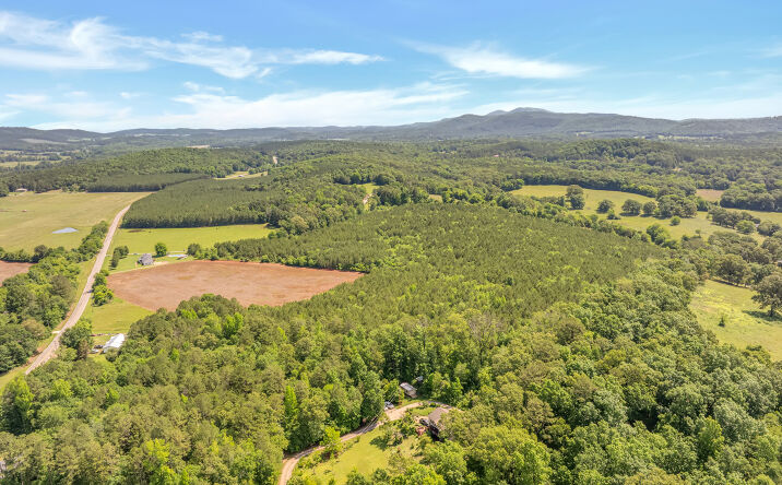 Pictures of Land property located at County Rd 29, Piedmont, AL 36272 for sales - image #1