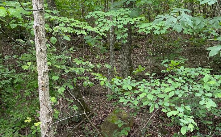 Pictures of Land property located at 0 Sandlick Road, Princeton, WV 24740 for sales - image #1